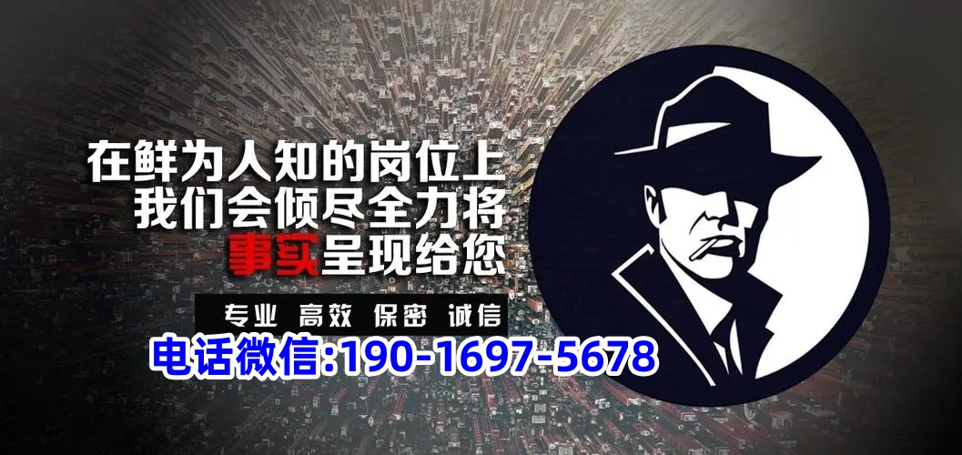 公众号